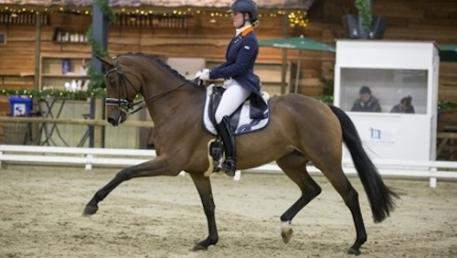 Dana van Lierop and Equestricons Walküre