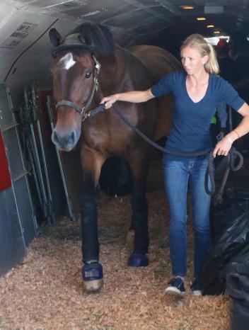 Laura Graves disembarks the plane with her horse 'Verdades'. (c) Ken Braddick/ Dressage-News.com
