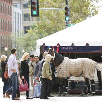 For one week in October 550 of the best horses in the world move in and make the streets of Washington D.C. their home. Photo copyright Alden Corrigan Photography.