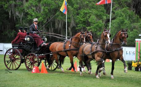 Chester Weber is unbeatable as FEI Four-in-Hand Horse champion at 2015 Live Oak International, and won the Jean Keathley Memorial Award for being the FEI driver with the lowest dressage score (Photo:PicsofYou.com)