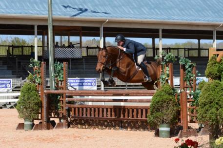 The top five horses and riders from the Green Working Hunters, the Low Hunters, the Working Hunters, the Children's Hunters and the Adult Hunters will all be eligible to compete in the second round of the ,000 Virginia Horse Center Hunter Classic. 