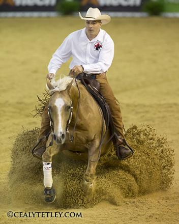 Cody Sapergia and Nu Chexomatic. Photo by Cealy Tetley