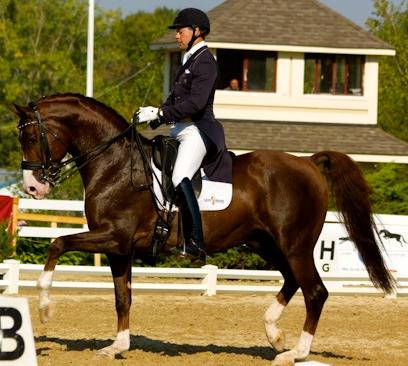 Palm Beach Equine’s newest resident, Endel Ots shown here on Agastrofos winning Reserve National Champion in the 2012 Developing Horse Grand Prix  (photo cortesy of Endel Ots Dressage)