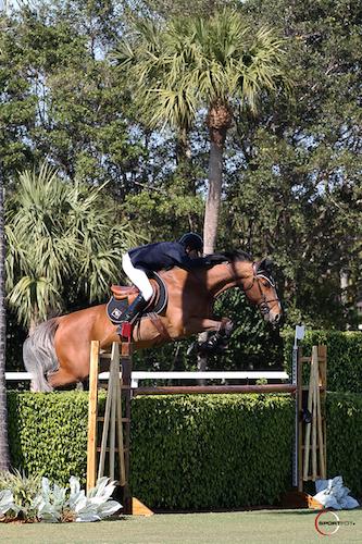 Adam Prudent and Vasco Win at The Ridge at Wellington Turf Tour at the International Polo Club Palm Beach