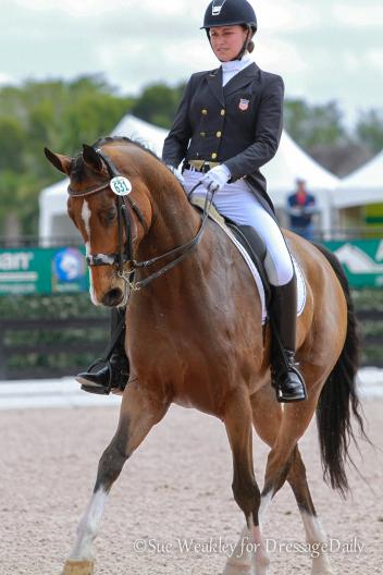Adrienne Lyle concentrates during her first ride of the Derby on Fame and Fortune, an 11-year-old Oldenburg gelding owned by Melody Jackson. Photo: Sue Weakley