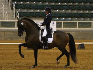 Allison Brock and Os-Nervi