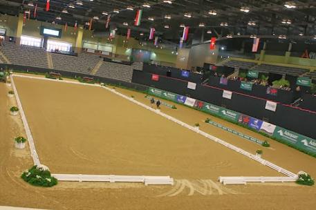 The lavishly-decorated Alltech Arena awaits competitiors for the 2014 US Dressage Finals presented by Adequan. 