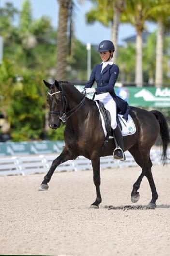 Mary Bahniuk Lauritsen and Ansgar prepare for the 2015 Pan American Games Qualifications. Photo: SusanJStickle 