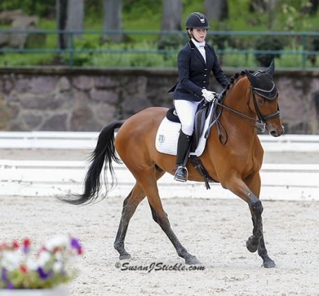 Ozzy Cooper, competing at Gladstone, steps up as Peavy's WEG mount. Photo: Susan Stickle