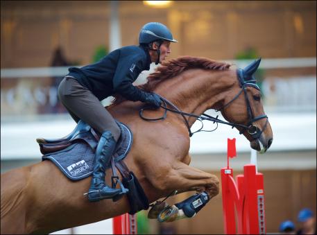 Ludger Beerbaum and his borrowed horse “Leonidas” at the warm-up.