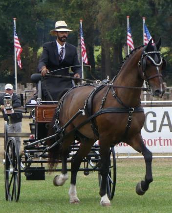 Gary Yaeger