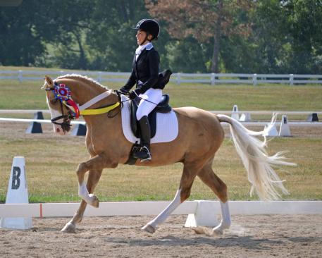 Tara Astacio, 2015 National Dressage Pony Cup 2015