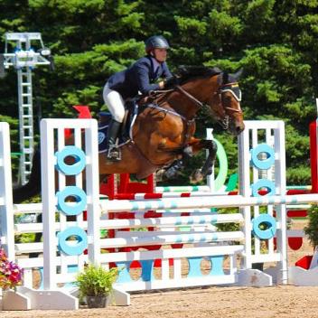 Vannia MBF, Holsteiner Mare, Flashpoint Bloodstock, Sporthorseauctions.com