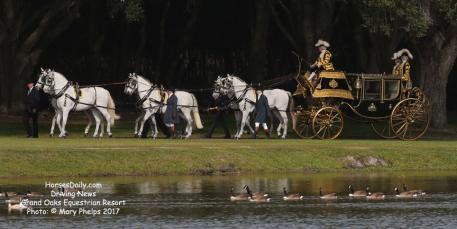 Gloria Austin put six of her purebred Spanish horses to her Armbruster Dress Chariot, the only full state carriage in the world in private ownership. 