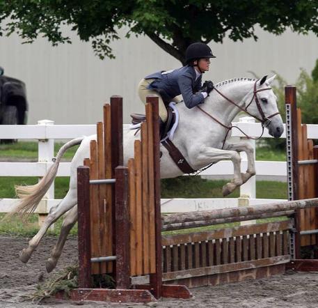 Flashpoint Bloodstock, Auctions, Stallion Service Auctions, Pony,