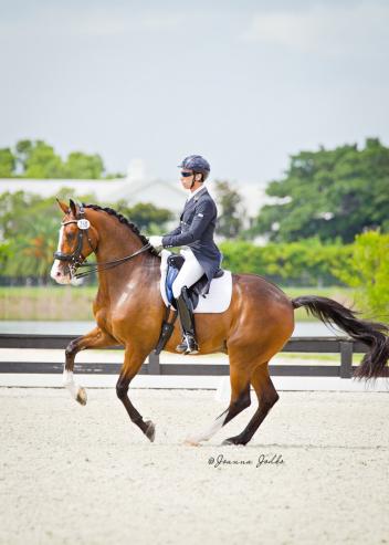 The Journey Begins -- Sahar Daniel Hirosh on Whitman Winning the Grand Prix at the Gold Coast Dressage Association Summer Solstice with a score of 70% 
