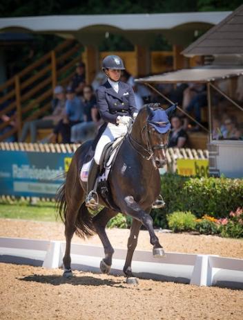 Allison Brock and Rosevelt. 