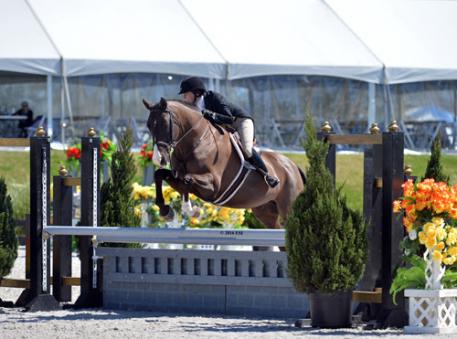 Amy Lloyd Thompson and Paramount on their way to a $5,000 Platinum Performance Hunter Prix win. 