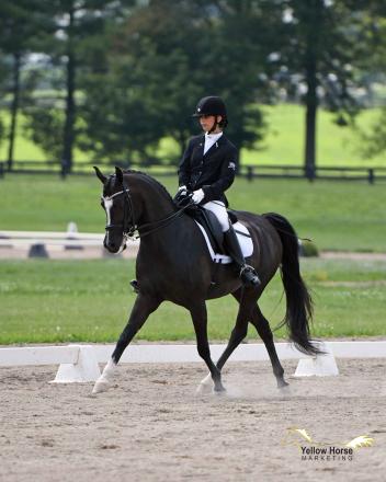 Ana DiGironimo’s faith in her mount paid off with a victory in the first round of the Musical Freestyle Open division on the first day of the National Dressage Pony Cup Championship Show. 