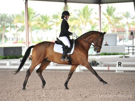 Annie Peavy competing at the CPEDI 3* at AGDF in 2015.