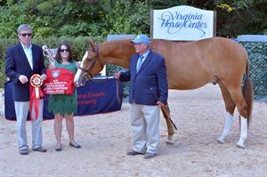 Arbor Hill with Richard Tylor, USEF's Natalie Norwood and Bill Rube (Photo: David Bell/RideOnSports.PhotoReflect.com)