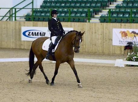 Rebecca Hart and Schroeter's Romani win at the CPEDI3* Grade II Team at Hartpury Dressage Festival. Photo: Kevin Sparrow.