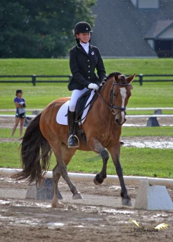 Kalie Beckers, National Dressage Pony Cup, Madoc Mari