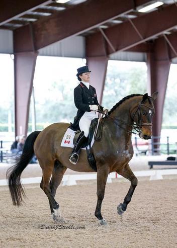 Belinda Trussell and Anton top the AGDF3 FEI Grand Prix presented by Yeguada de Ymas.