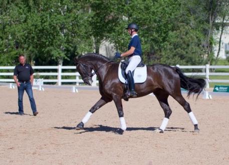 Benjamin Pfabe of Dallas, TX, in a clinic session with Scott Hassler at The Colorado Horse Park during DSIR. 