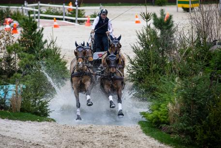 Boyd Exell won the FEI World Cup™ Driving Leg in Geneva for the eighth time in his career