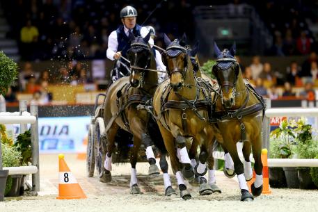 Boyd Exell (AUS)  Photo Pierre Costabadie/FEI