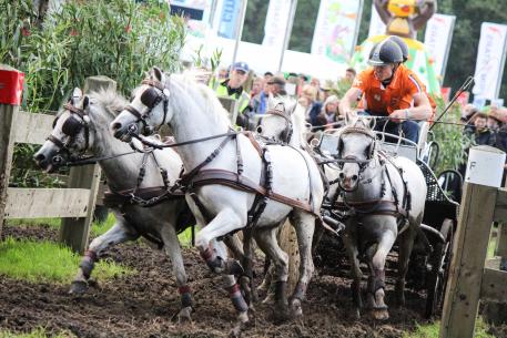 Bram Chardon (NED) (Photo: FEI/Krisztina Horváth)
