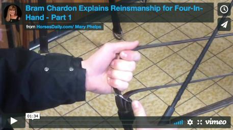 Watch the video - Bram Chardon 4-in-hand Reins part 1