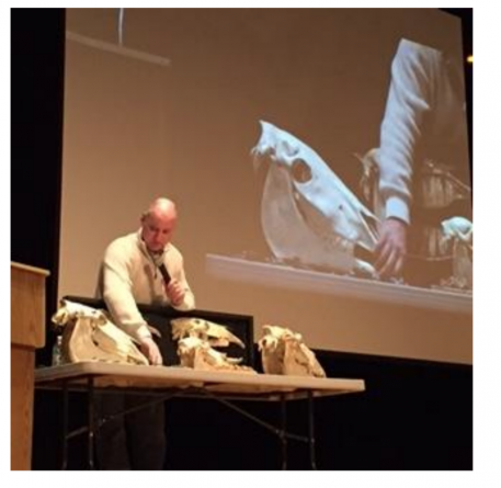 Brian Stewart – Equine Dentistry - 2017
