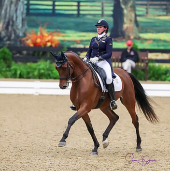 Caymus, sired by Iron Spring Farm's Sir Sinclair, Keur, claimed the USDF Intermediaire I Horse of the Year ridden by Jody Kelly. 