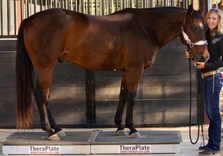 Eleven-time World Champion Barrel Racer Charmayne James is a TheraPlate Brand Ambassador 