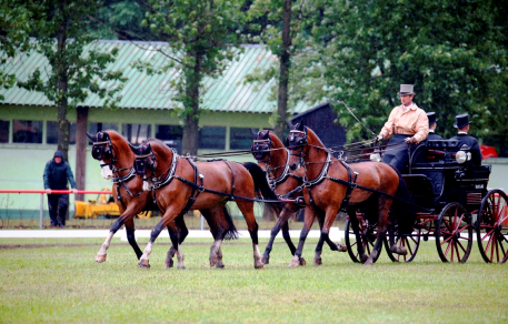 Chester Weber takes the lead in the dressage phase at the Drebkau CAI 3* in Germany