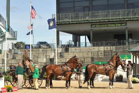 Chester Weber, 12-time USEF Four-in-Hand Driving National Champion (Picsofyou.com)