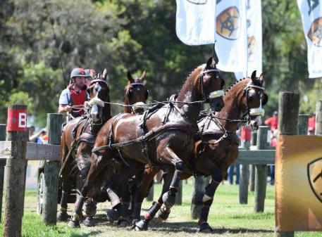 Chester Weber at the Ariat obstacle 