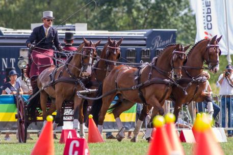 Chester Weber - Beekbergen 2018