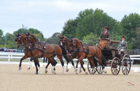 2015 CAI2* Kentucky Classic CDE, Chester Weber, USA Driving