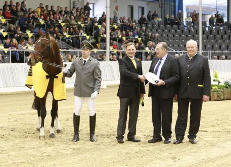 Comte, Contendro, Granulit, Hannoveraner Verband, Grand-Prize, 2016