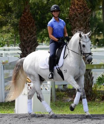 Cristal Da Caniceira is a 2009 Lusitano gelding imported from Portugal (Vionlino – Pua, Hostil). He has shown to Prix St. Georges and it talented for piaffe, passage and trot extension. Photo by Mary-Ellen Jansen.