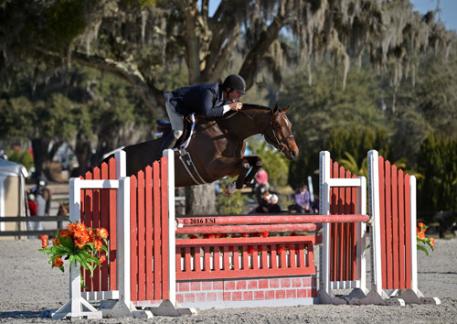Daniel Geitner and Sky Pilot on their way to a $5,000 Devoucoux Hunter Prix win. 