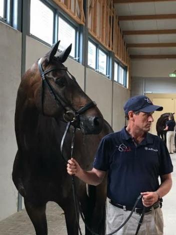David Wightman, Silberpfeil, Ermelo, World Championships of Young Dressage Horses