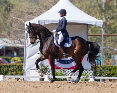 Legolas 92 and Dawn White-O'Connor took both the CDI Grand Prix and Grand Prix Special titles at Dressage Affaire CDI3*/1*/Y/J/U25/AM. (Photo: Terri Miller)
