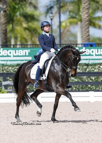 Devon Kane and Destiny qualified for the 2015 Grand Prix National Championships at the U.S. Dressage Festival of Champions presented by the Dutta Corp.