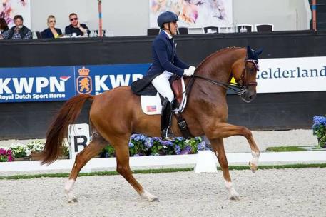  Dr. Cesar Parra and Don Cesar were proud to represent the United States as the only US pair to compete in the FEI World Breeding Dressage Championships