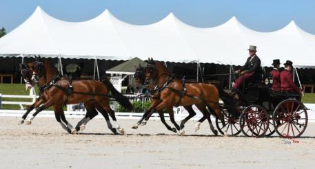 Chester Weber and team. (Photo: Pics Of You)