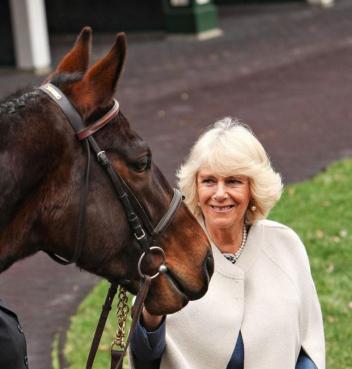 Her Royal Highness The Duchess of Cornwall being greeted by a Thoroughbred at a reception for Brooke USA in Kentucky in March, 2015. 